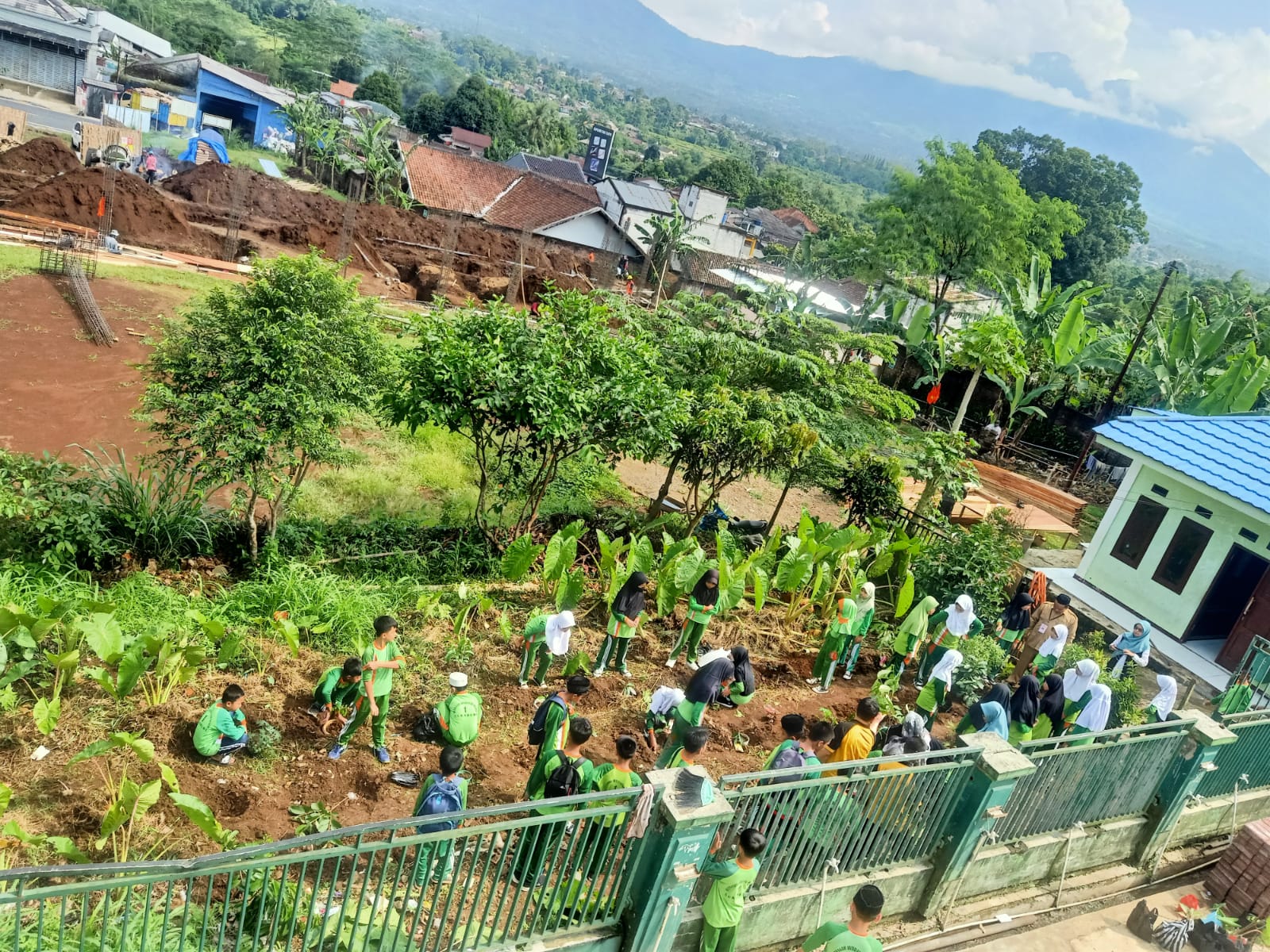 Aksi Tanam Pohon Serentak